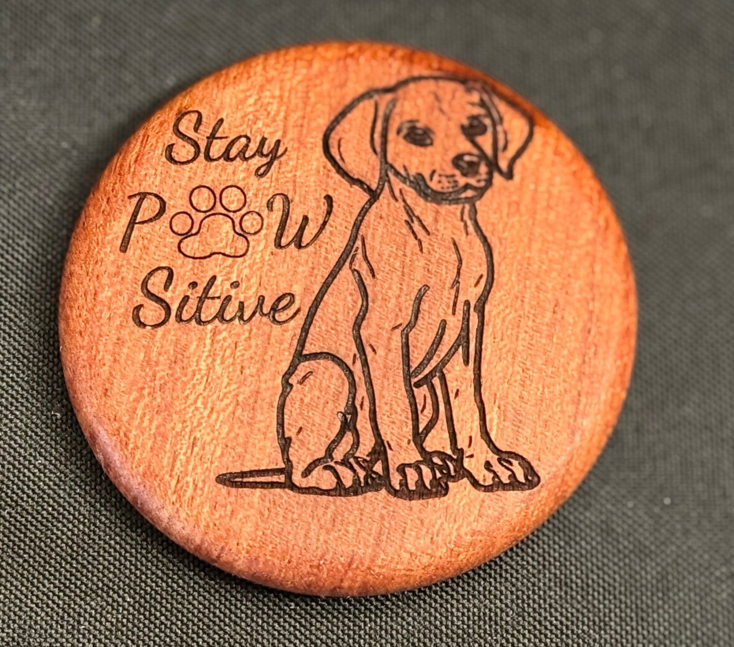 Dog - Stay PawSitive - HisWord Designs