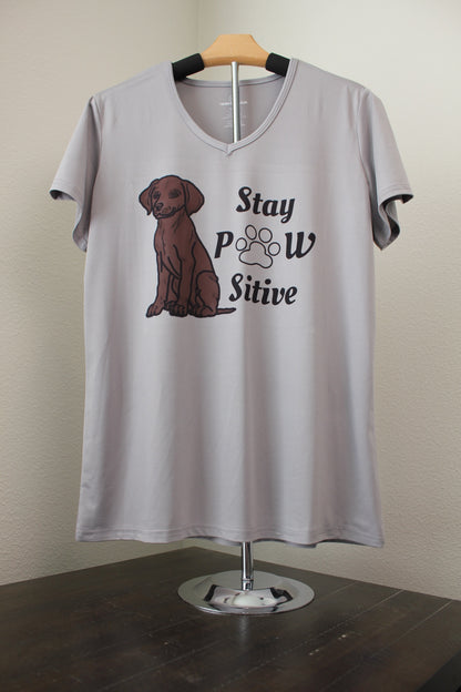 Stay Pawsitive Women's V - Neck T-Shirt - His Word Designs