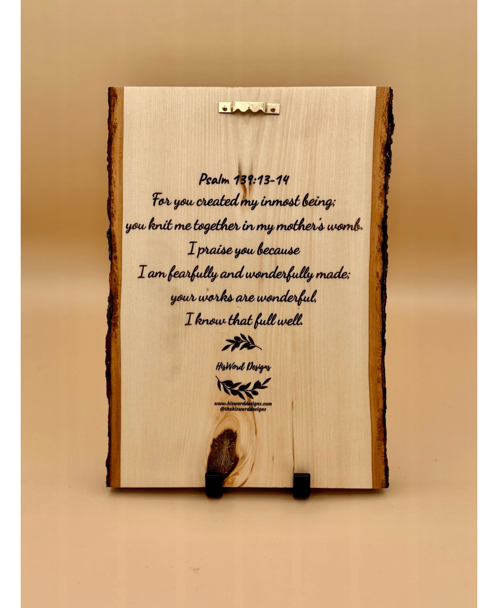 Noah’s Ark Personalized Wood Sign, Genesis 9:13 Bible Verse Nursery Decor, Custom Baby Shower Gift, Baptism Gift - HisWord Designs