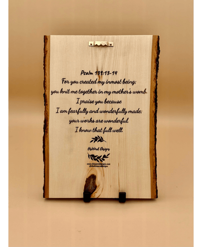 Noah’s Ark Personalized Wood Sign, Genesis 9:13 Bible Verse Nursery Decor, Custom Baby Shower Gift, Baptism Gift - HisWord Designs