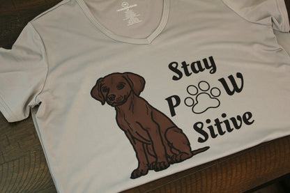 Stay Pawsitive Women's V - Neck T-Shirt - His Word Designs