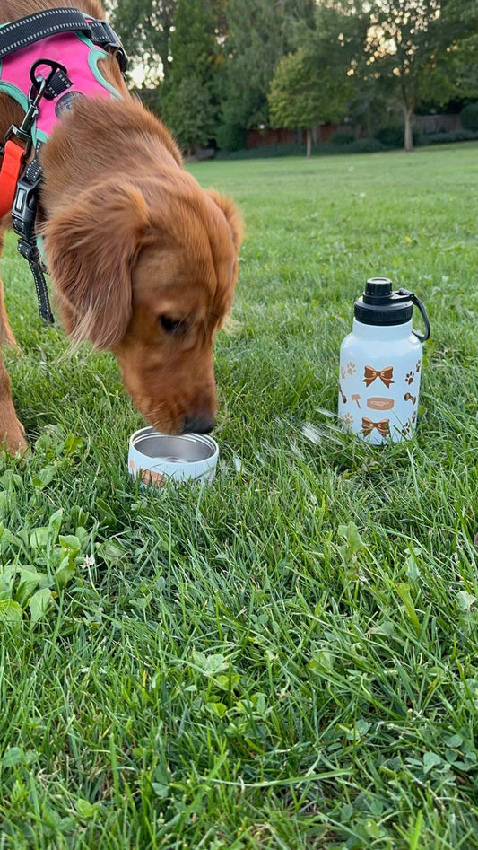 Personalized Dog Water Tumbler & Bowl, Dog Hiking, 32 oz Tumbler, Dog Parent Gifts, Dog Water Bowl, Dog Gifts,Dog Walker,Travel Water Bottle